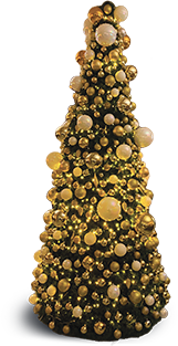 sapin1